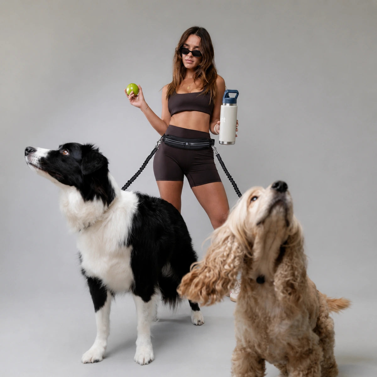 Tethovia Stride Belt and dual-bungee leash