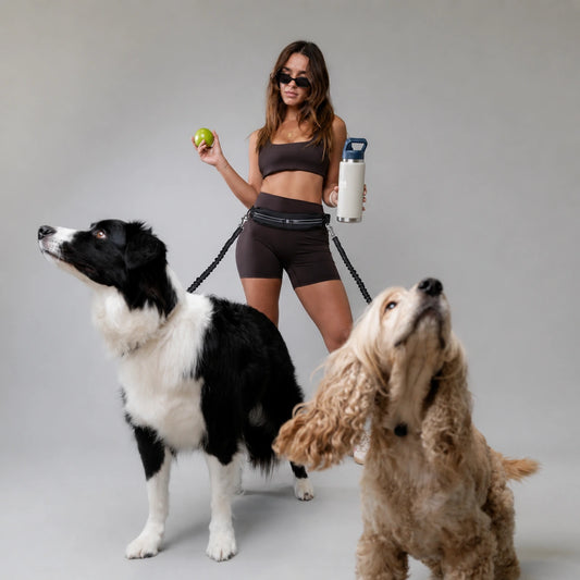 Vaelonia FreeWalk Hands-Free Dog Walking Set
